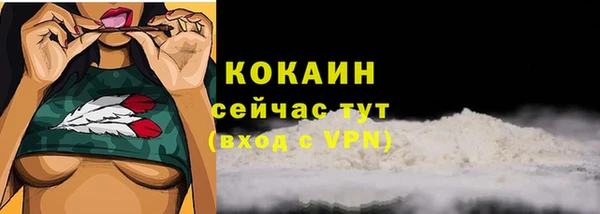 крисы Абаза