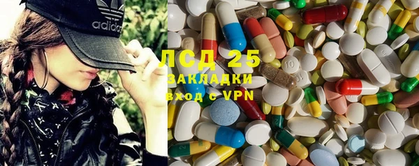 крисы Абаза