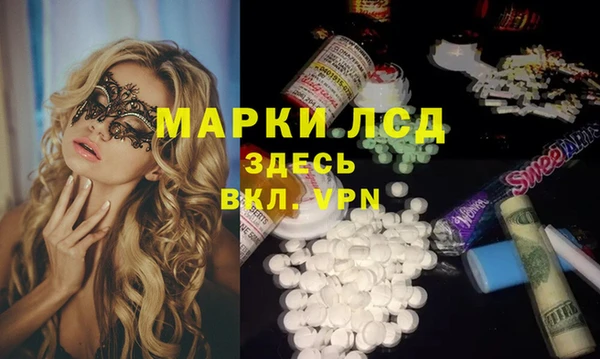 крисы Абаза