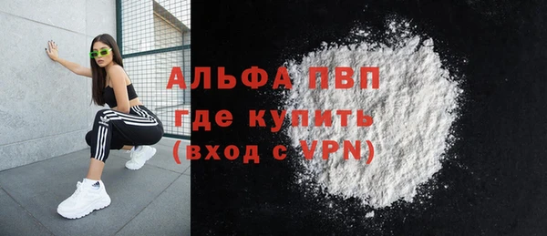 крисы Абаза