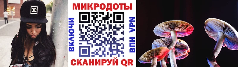 MEGA как зайти как найти наркотики Камышлов Галлюциногенные грибы ЛСД